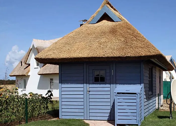 Arielle Comfortable *